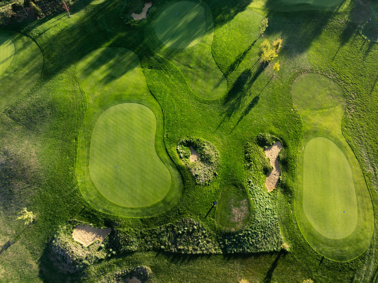 GOLF-